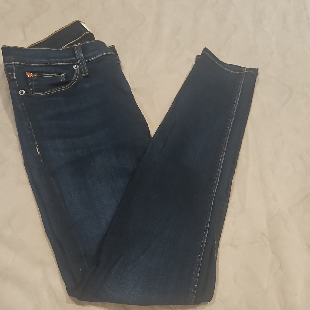 Hudson Jeans Blue Skinny Denim
